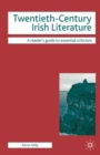 Twentieth-Century Irish Literature - Book