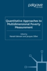 Quantitative Approaches to Multidimensional Poverty Measurement - eBook