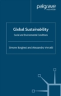 Global Sustainability : Social and Environmental Conditions - eBook