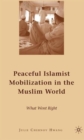 Peaceful Islamist Mobilization in the Muslim World : What Went Right - Book