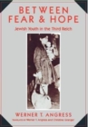 Between Fear and Hope : Jewish Youth in the Third Reich - Book
