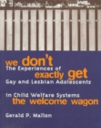 We Don't Exactly Get the Welcome Wagon : The Experiences of Gay and Lesbian Adolescents in Child Welfare Systems - Book