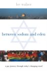 Between Sodom and Eden : A Gay Journey Through Today's Changing Israel - Book