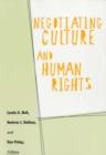 Negotiating Culture and Human Rights - Book