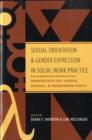 Sexual Orientation and Gender Expression in Social Work Practice : Working with Gay, Lesbian, Bisexual, and Transgender People - Book