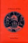 A History of Pain : Trauma in Modern Chinese Literature and Film - Book