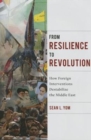 From Resilience to Revolution : How Foreign Interventions Destabilize the Middle East - Book