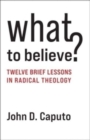 What to Believe? : Twelve Brief Lessons in Radical Theology - Book