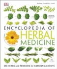 Encyclopedia Of Herbal Medicine : 550 Herbs and Remedies for Common Ailments - Book