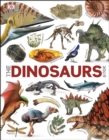 Our World in Pictures The Dinosaurs Book - eBook