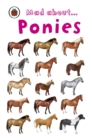 Mad About Ponies - eBook