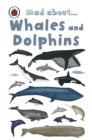 Mad About Whales and Dolphins - eBook