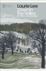 Down in the Valley : A Writer's Landscape - eBook