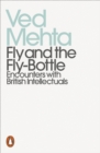 Fly and the Fly-Bottle - eBook