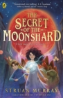 The Secret of the Moonshard : A magical fantasy adventure for 9-12 year olds - eBook