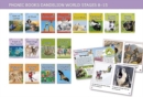 Phonic Books Dandelion World Stages 8-15 : Adjacent consonants and consonant digraphs - Book