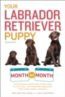 Your Labrador Retriever Puppy Month by Month, 2nd Edition : Everything You Need to Know at Each Stage of Development - eBook