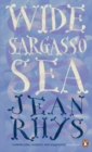 Wide Sargasso Sea - Book