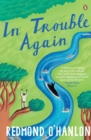 In Trouble Again : A Journey Between the Orinoco and the Amazon - Book