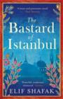 The Bastard of Istanbul - Book