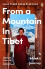 From a Mountain In Tibet : A Monk’s Journey - Book