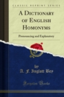 A Dictionary of English Homonyms : Pronouncing and Explanatory - eBook