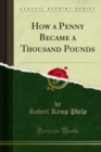 How a Penny Became a Thousand Pounds - eBook