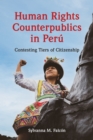 Human Rights Counterpublics in Peru - Book