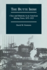 The Butte Irish : Class and Ethnicity in an American Mining Town, 1875-1925 - eBook