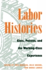 Labor Histories : Class, Politics, and the Working-Class Experience - eBook