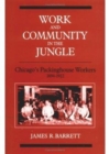 Work and Community in the Jungle : Chicago's Packinghouse Workers, 1894-1922 - Book
