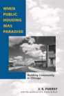 When Public Housing Was Paradise : BUILDING COMMUNITY IN CHICAGO - Book