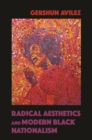 Radical Aesthetics and Modern Black Nationalism - Book