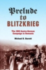Prelude to Blitzkrieg : The 1916 Austro-German Campaign in Romania - Book