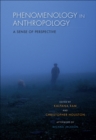 Phenomenology in Anthropology : A Sense of Perspective - eBook