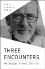Three Encounters : Heidegger, Arendt, Derrida - eBook