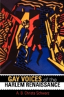 Gay Voices of the Harlem Renaissance - Book