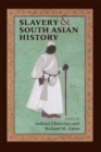 Slavery and South Asian History - Book