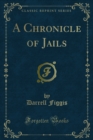 A Chronicle of Jails - eBook