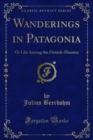 Wanderings in Patagonia : Or Life Among the Ostrich-Hunters - eBook
