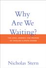 Why Are We Waiting? : The Logic, Urgency, and Promise of Tackling Climate Change - Book