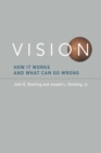 Vision : How It Works and What Can Go Wrong - Book