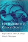 Fast Oscillations in Cortical Circuits - Book