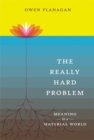 Really Hard Problem - eBook