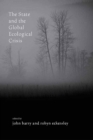The State and the Global Ecological Crisis - eBook