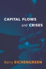 Capital Flows and Crises - eBook