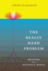 The Really Hard Problem : Meaning in a Material World - eBook