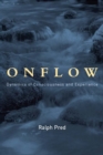 Onflow : Dynamics of Consciousness and Experience - eBook