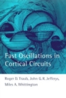 Fast Oscillations in Cortical Circuits - eBook