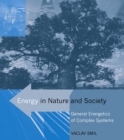 Energy in Nature and Society : General Energetics of Complex Systems - eBook